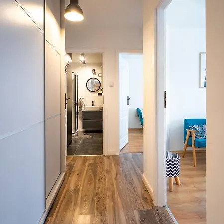 La Lemur * 노비 삭츠